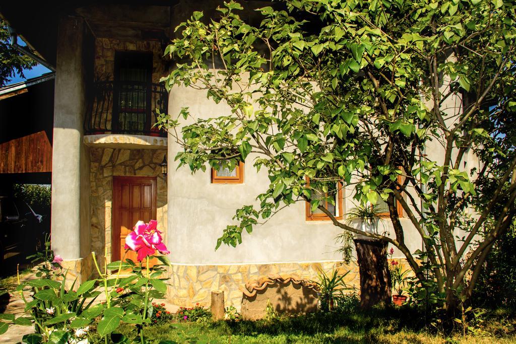 Villa Pontica Sofia Buitenkant foto